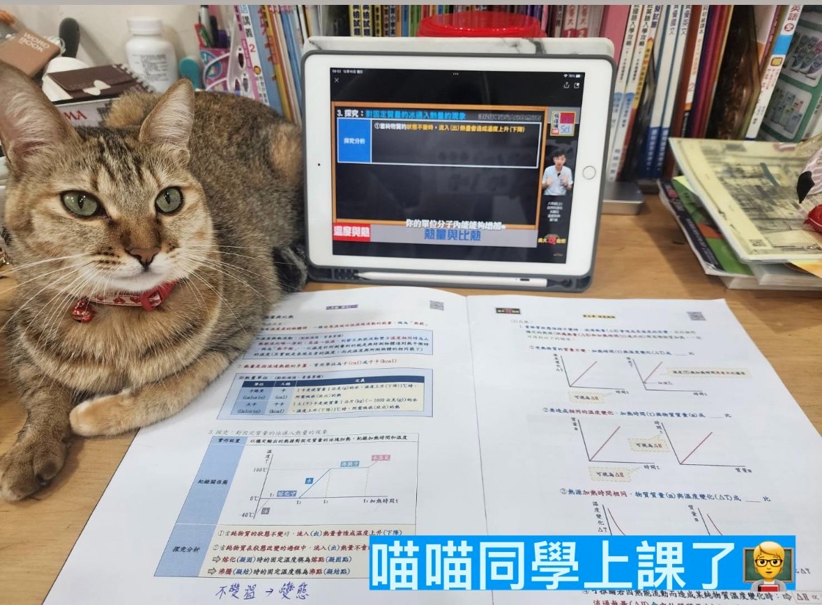 吳大玩自然