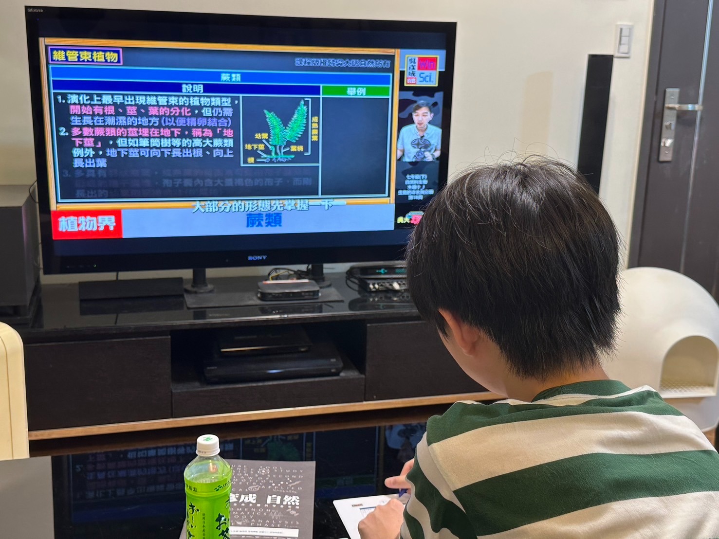 吳大玩自然